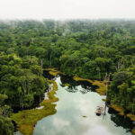 Hutan Amazon