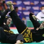 Pencak Silat